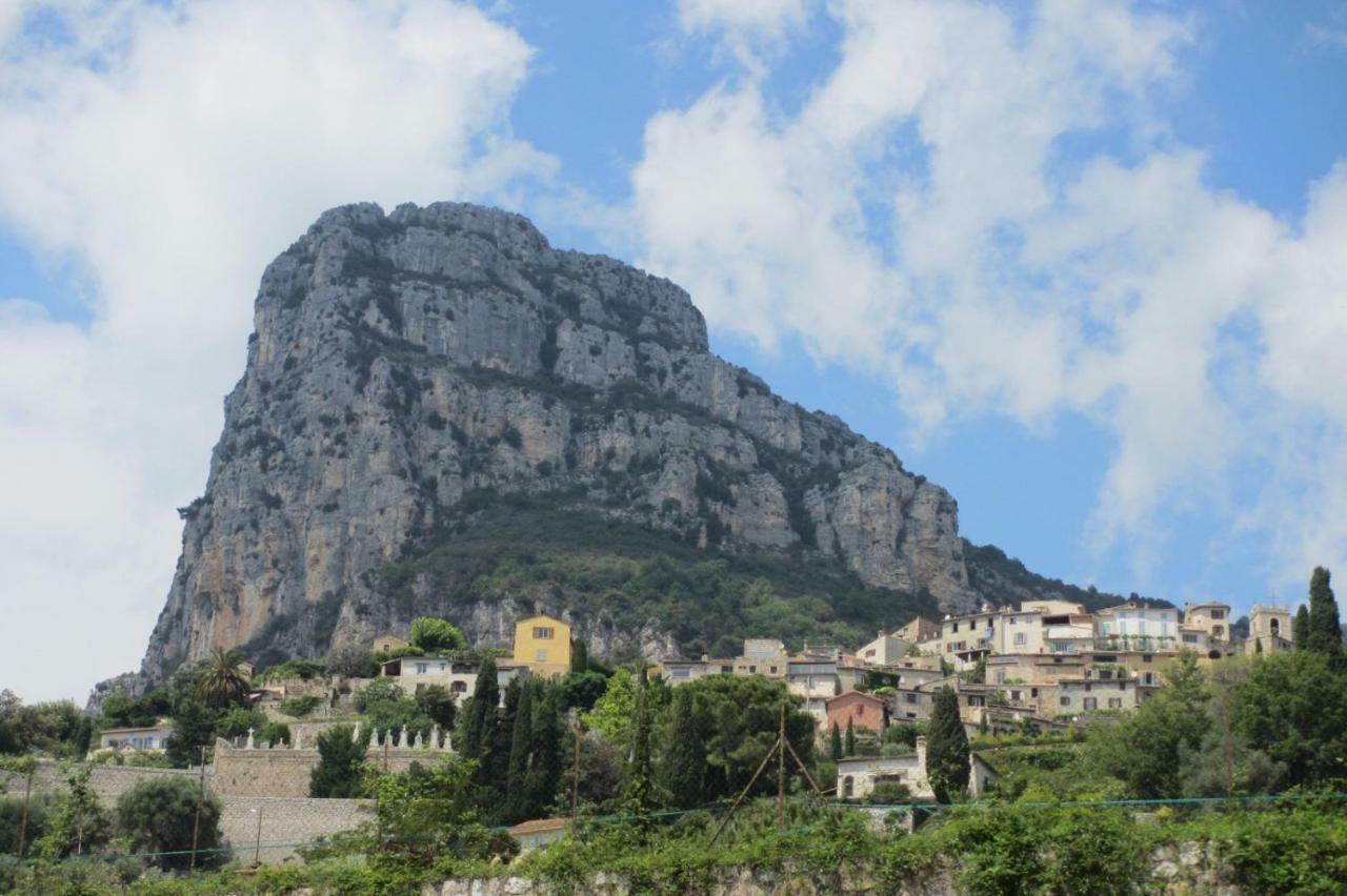 Bed & Breakfast Les Lillas Saint-Jeannet  ภายนอก รูปภาพ